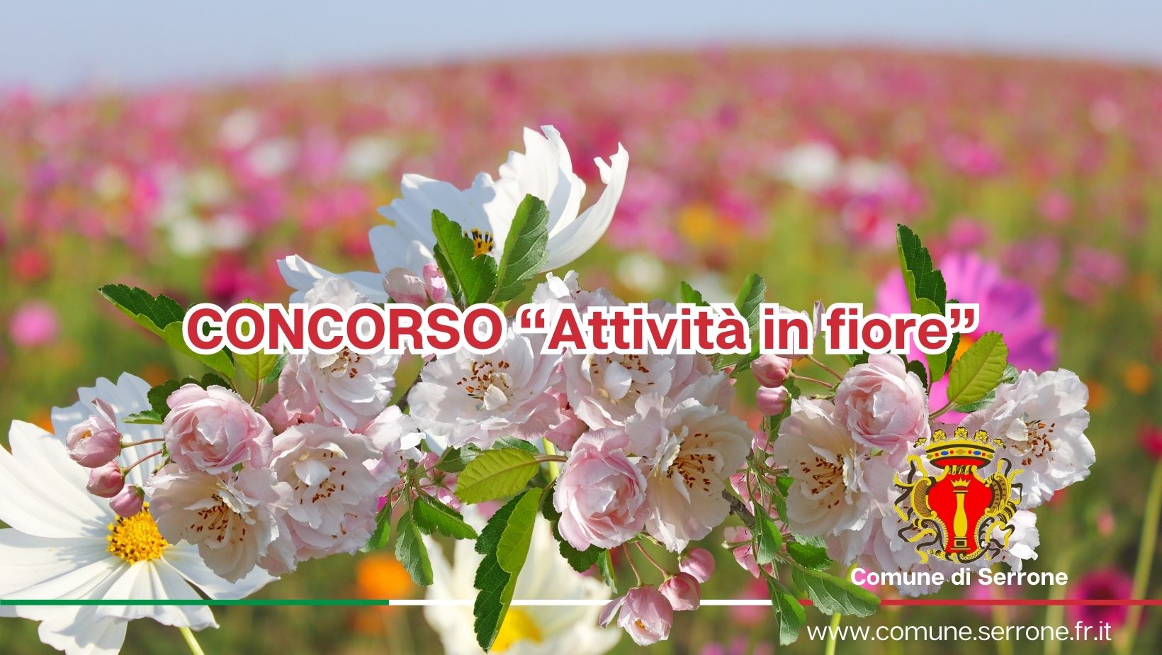 REGOLAMENTO DEL CONCORSO “Attività in fiore”